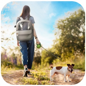 Furrever Friends Catssic Grey carrier backpack